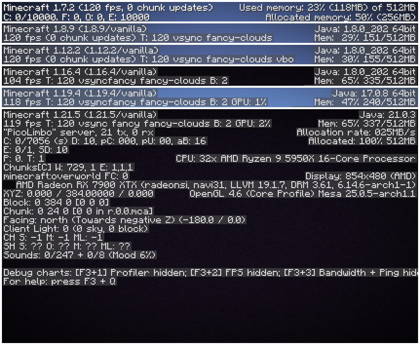 Multiple versions in one image